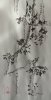 upload_2021-3-12_8-2-32.jpeg