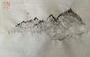 upload_2021-3-17_7-22-18.jpeg