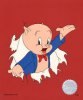 pig1.jpeg