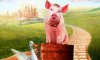 pig4.jpg