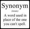 synonym.jpg