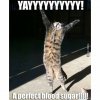 FB_IMG_1615912319515.jpg