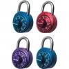 locks2.jpg
