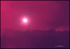 8F8BD443-8D36-40AD-90A7-27A7F89D7E15.jpeg