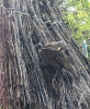 9F147463-E611-4B47-820E-9ECCCAEACFE3.png