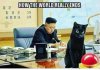 A12D67A9-F5FF-4945-B6BC-418F6F55DA45.jpeg