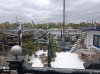 IMG_20210508_153137_resize_13.jpg