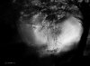9792DC3F-F087-46E4-8261-BF9DA3DF271A.jpeg