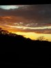 20210518_211357_compress48.jpg