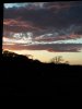 20210518_211646_compress94.jpg