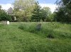 IMG_20210607_142534_resize_65.jpg