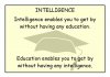 intelligence.jpg