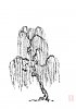 upload_2021-7-28_8-2-46.jpeg