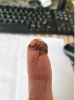 Thumb02.JPG