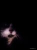 D9EF739D-62CF-4111-BD55-C72DC1DB05CA.jpeg