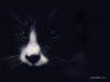 B6B4220E-9B5E-4985-BA10-4C5149D90EBF.jpeg