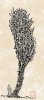 upload_2021-8-16_8-10-39.jpeg
