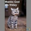 FB_IMG_1538210776359.jpg