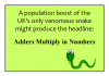 adders multiply.png