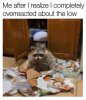 FB_IMG_1632915741510.jpg