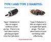FB_IMG_1633689330556.jpg