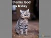 FB_IMG_1502470027679.jpg