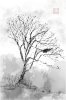 upload_2021-10-26_6-55-41.jpeg