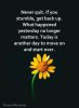 FB_IMG_1635250759221.jpg
