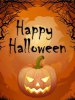 FB_IMG_1635662438334.jpg