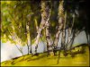 E83A2177-68FE-4B52-AE01-D20D338C82AC.jpeg