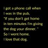 dog's dinner.jpg