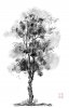 upload_2021-11-17_5-11-26.jpeg