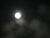 0973A0C8-55F8-4BF8-B88B-5BFAA15C8CBD.jpeg