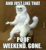 FB_IMG_1637226829841.jpg