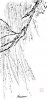 upload_2021-11-24_7-3-18.jpeg