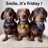 FB_IMG_1630219502324.jpg