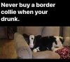 770020FF-C670-4D8C-9FF2-0ED6E8D284AF.jpeg