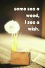 FB_IMG_1638812767986.jpg