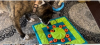 upload_2021-12-26_21-59-42.png