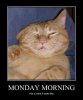 FB_IMG_1639645708635.jpg