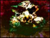 7180432E-612D-4748-BD88-F1C344C1FE86.jpeg