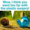 snail.jpg