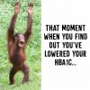 FB_IMG_1641921736890.jpg