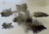 upload_2022-1-20_7-3-36.jpeg