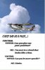 AA0E7E06-61FA-4EB9-84AB-014CED23D99D.jpeg