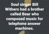 bear.jpg