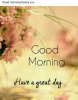 FB_IMG_1644687197001.jpg