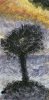 upload_2022-2-18_6-37-53.jpeg