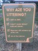 littering.jpg
