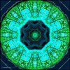 04A9E3CE-3C7C-40C7-8BF8-AD0870E3068E.jpeg